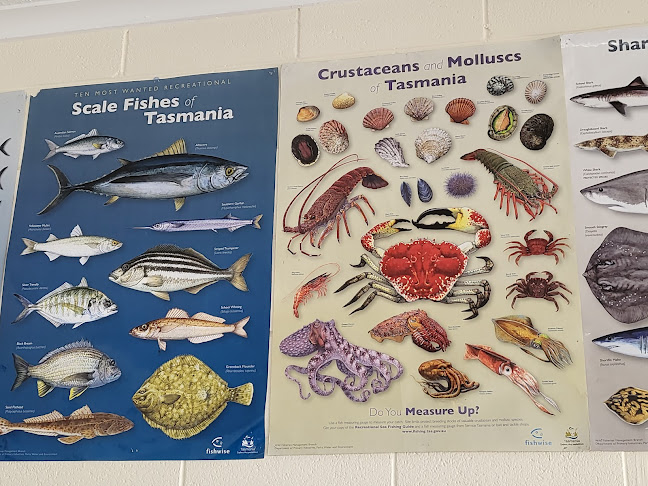 23 Church St, Stanley TAS 7331