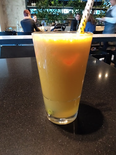 Maple + Clove - Hospitality and gastronomy