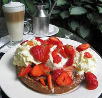 Botanic Gardens Restaurant & Cafe - Hospitality and gastronomy