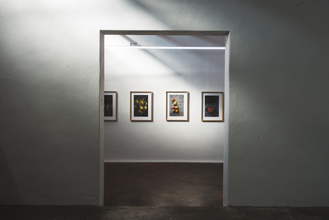 Comentarii opinii despre Good Eddy