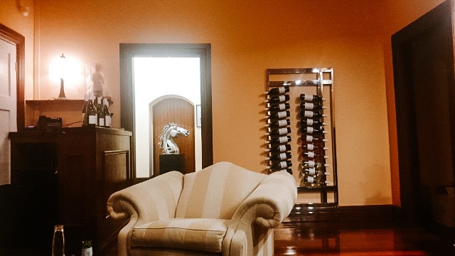 Harry's at Conti - Hospitality and gastronomy