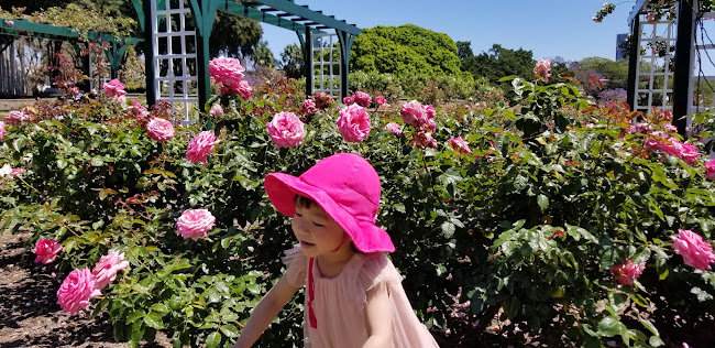 1231A Brunswick St, New Farm QLD 4005