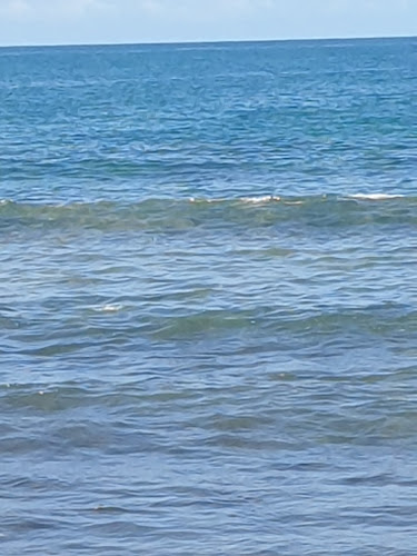 Comentarii opinii despre Bradlees Beachside Takeaway