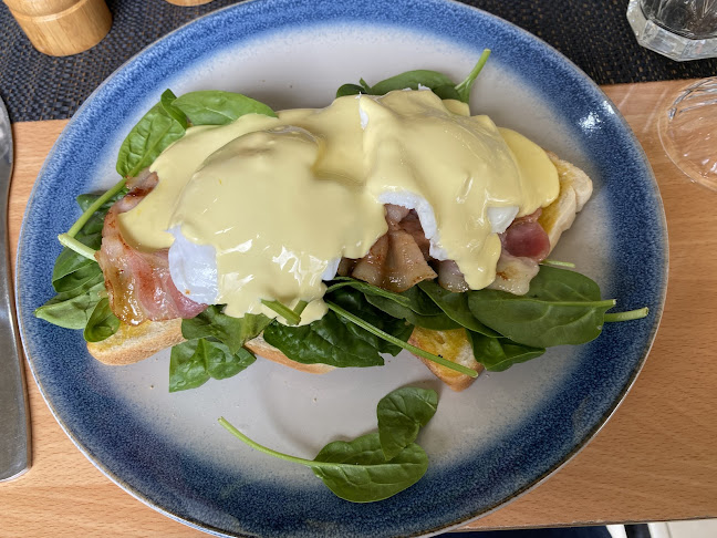 Mealys - Hospitality and gastronomy