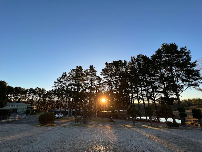 Blue Mountains Tea Shack - Hospitality and gastronomy