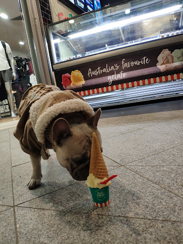 Comentarii opinii despre Gelatissimo Noosa