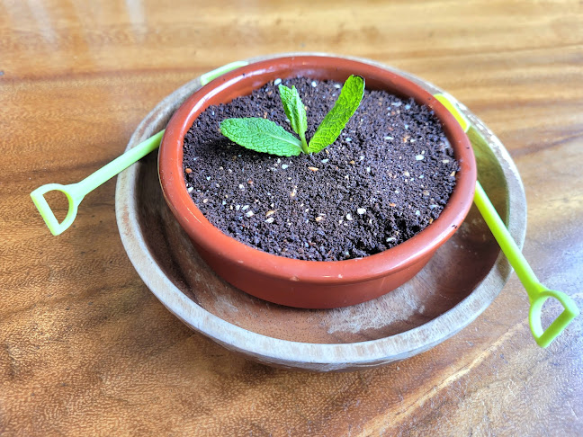 2/2 Sunlight Dr, Burleigh Waters QLD 4220