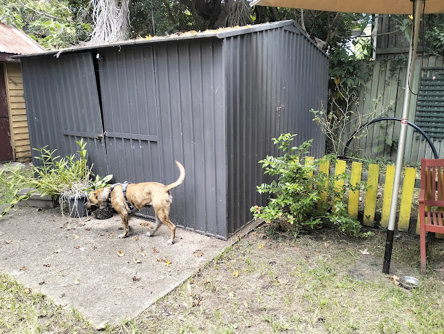 Snag & Brown - Annerley