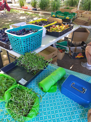 Tamworth Community Markets - Hospitality and gastronomy