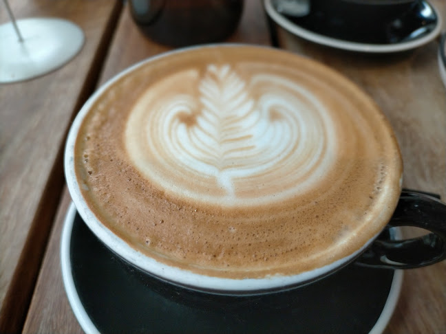 Black Cup Cafe - Hospitality and gastronomy