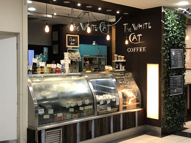 Opinii despre The White Cat Coffee în Brisbane City - Hospitality and gastronomy