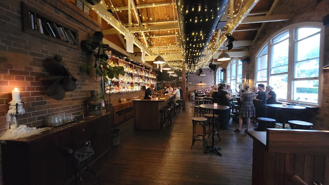 Comentarii opinii despre Frog's Hollow Saloon