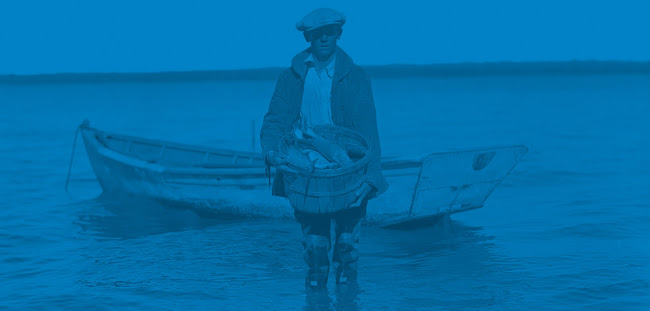 Opinii despre Hunky Dory Fish & Chips Watergardens în Taylors Lakes - Hospitality and gastronomy