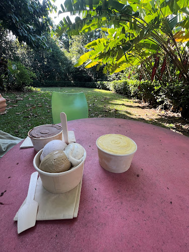 Daintree Ice Cream Company - Brisbane