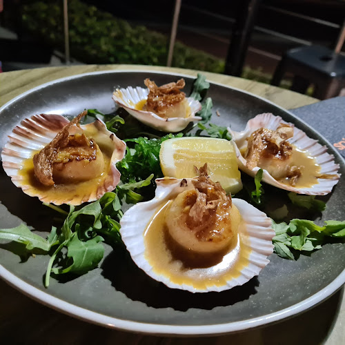 Spice Monkey Forster - Forster