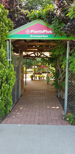 Cedar Cafe - Hospitality and gastronomy