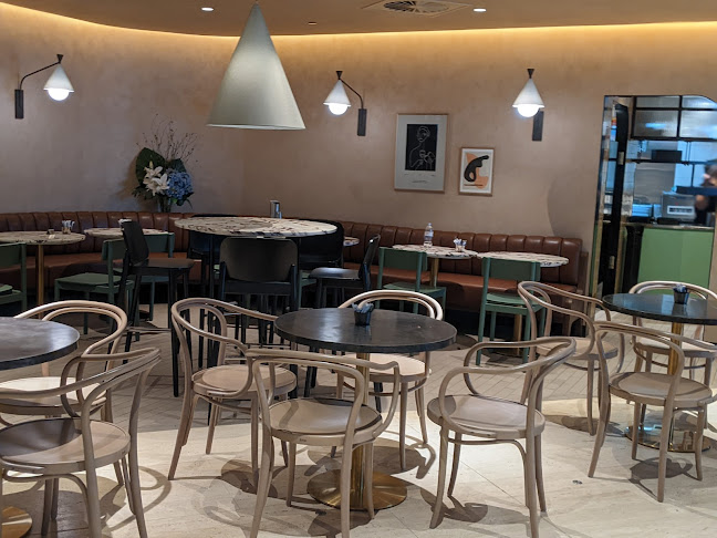 Opinii despre Bar Fino în Sydney - Hospitality and gastronomy