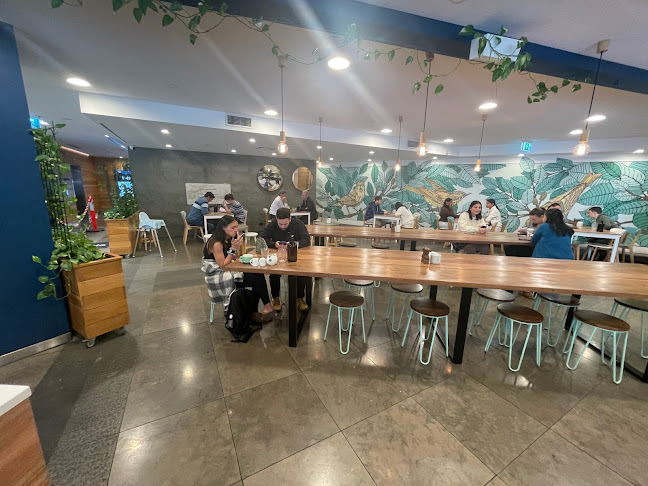 Ed on Edward Cafe - Hospitality and gastronomy