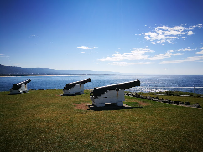 Normies Ice Cream & Gelato - Hospitality and gastronomy