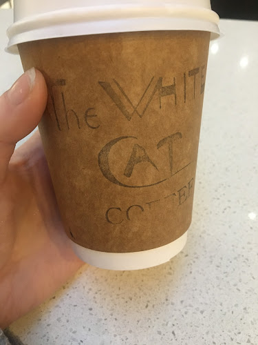The White Cat Coffee - Hospitality and gastronomy