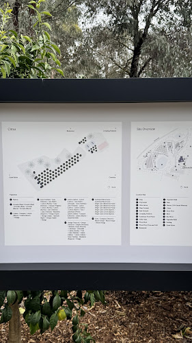 Brae Restaurant - Hospitality and gastronomy