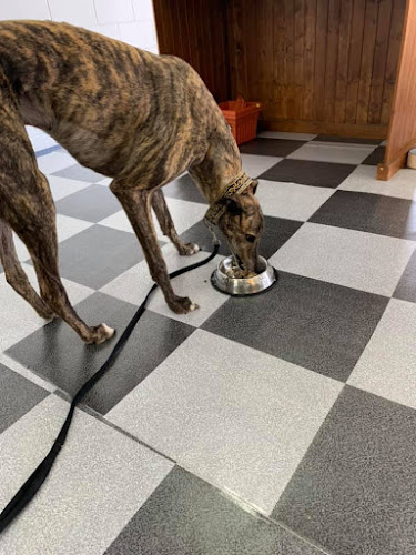 55 Quays Dr, West Ballina NSW 2478