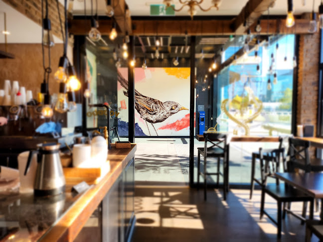 Comentarii opinii despre Voodoo Cafe