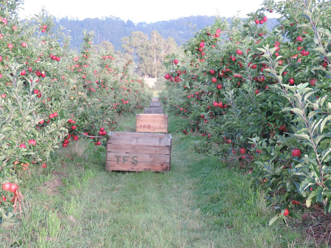 Opinii despre RW Squibb & Sons Orchard în Spreyton - Hospitality and gastronomy