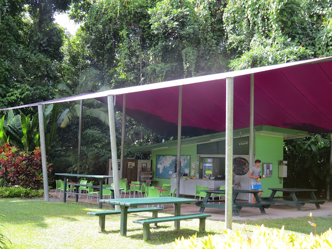 1819 Cape Tribulation Rd, Diwan QLD 4873