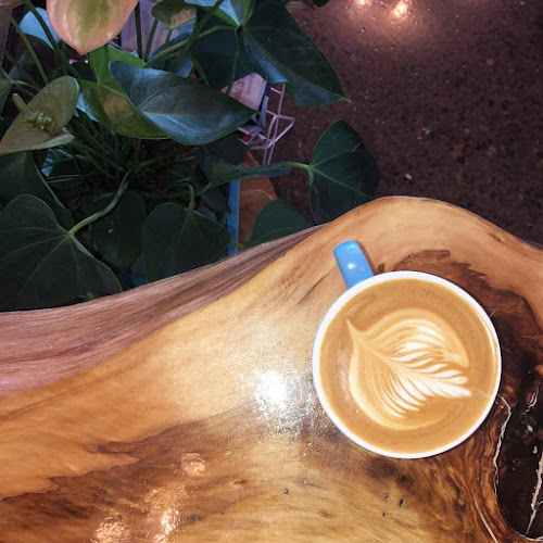 Boy Espresso Bar - Gladstone Central