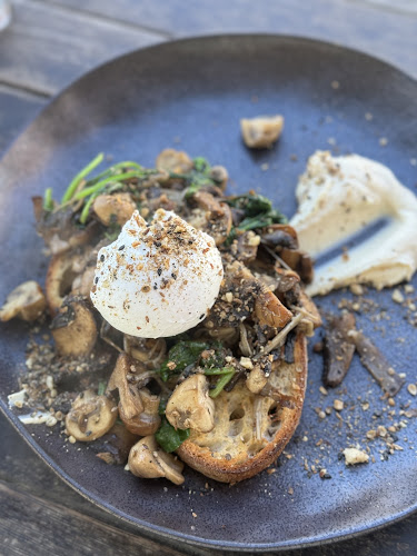 Comentarii opinii despre Percy and Percy