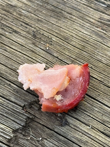 Domino's Pizza Highfields - Hospitality and gastronomy