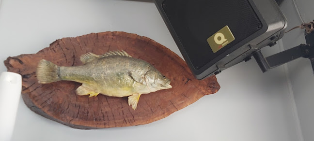 Comentarii opinii despre Barmah Pub