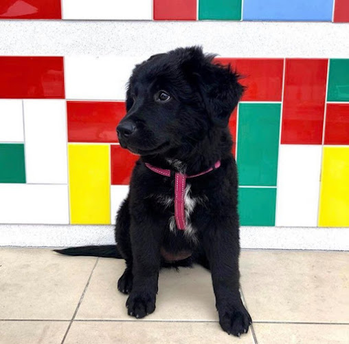 120 Young St, Carrington NSW 2294