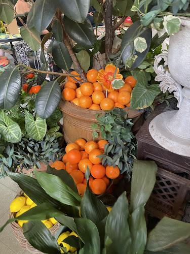 Opinii despre The Potting Shed at The Grounds în Alexandria - Hospitality and gastronomy