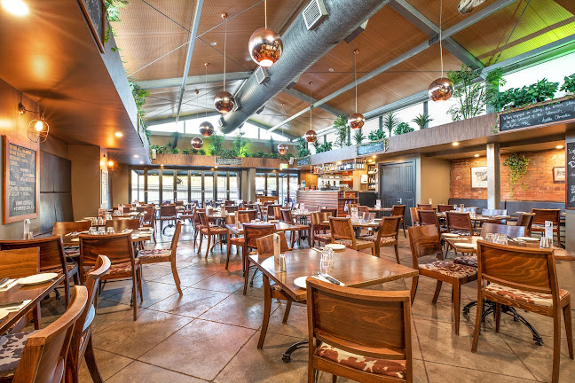 Comentarii opinii despre Fiasco's Steakhouse