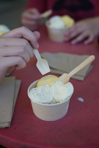 Daintree Ice Cream Company - Brisbane