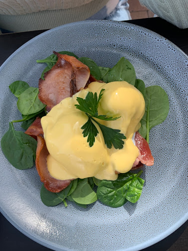 The Sand Goanna - Dubbo