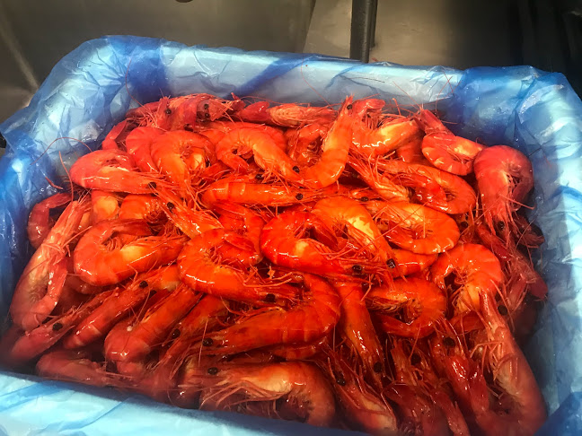 Opinii despre Steve’s Fish n Fillet în Swan Hill - Hospitality and gastronomy