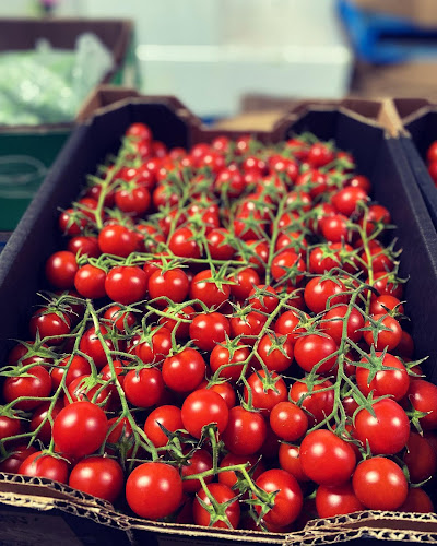 Fruit For All - Berkeley Vale