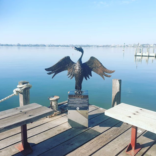 Comentarii opinii despre The Lucky Shag