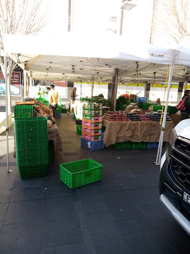 FRIDAY FORAGE MARKET - Hospitality and gastronomy