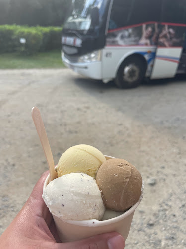 Comentarii opinii despre Daintree Ice Cream Company