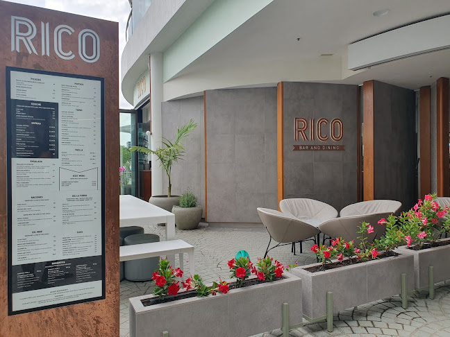 Opinii despre Rico Bar + Dining în Brisbane City - Hospitality and gastronomy