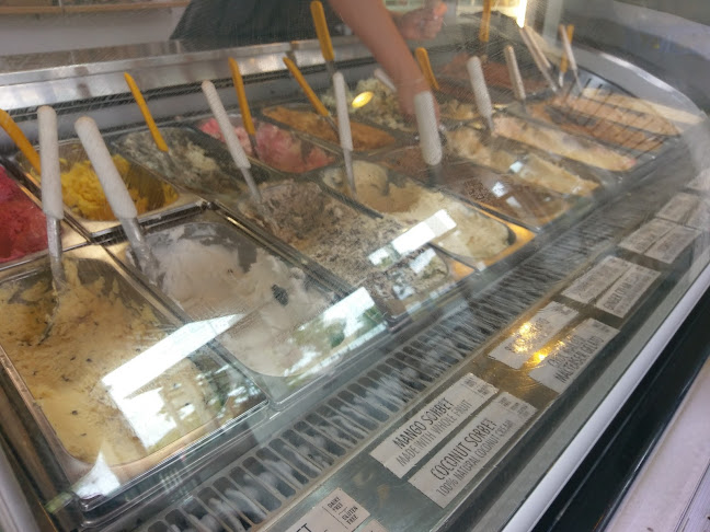 Amo Gelato Caffe - Hospitality and gastronomy