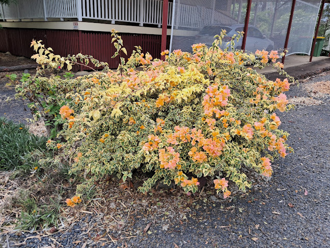 German Bake and Wurst House - Hospitality and gastronomy