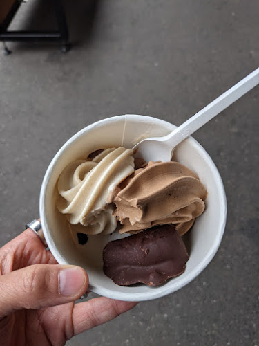 Comentarii opinii despre gojé