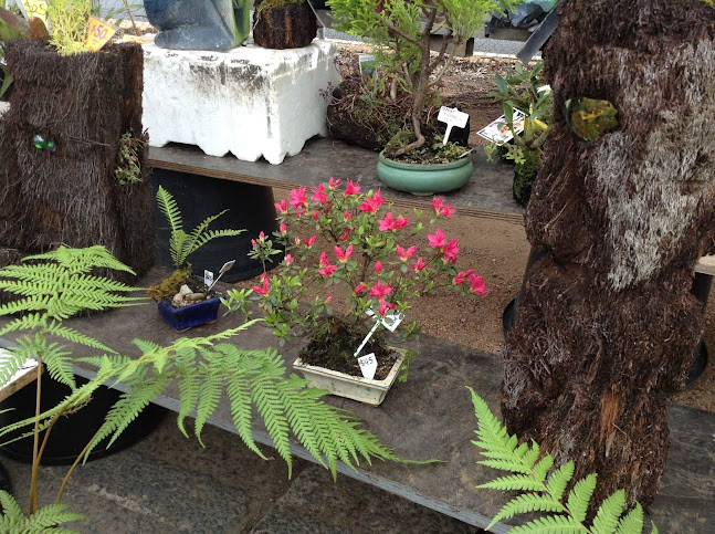 Opinii despre Trash & Treasure Market în Macquarie - Hospitality and gastronomy