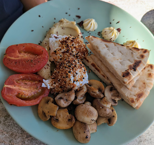 Shebani's - Hospitality and gastronomy