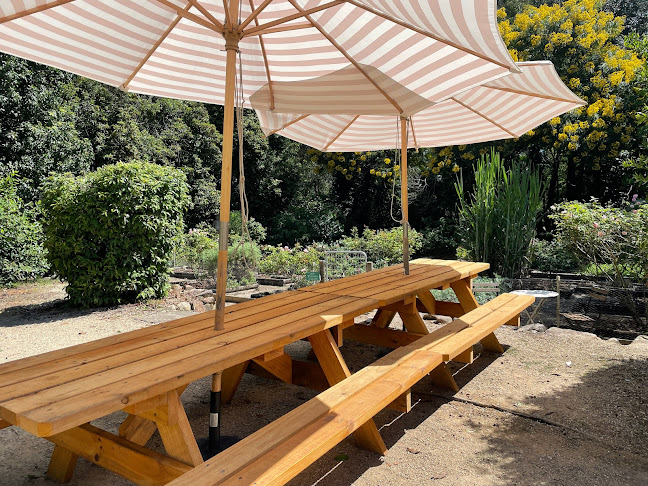 Bar Botanica - Hospitality and gastronomy